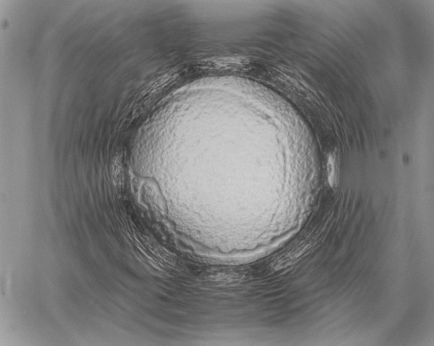 X0000058131395200510171324