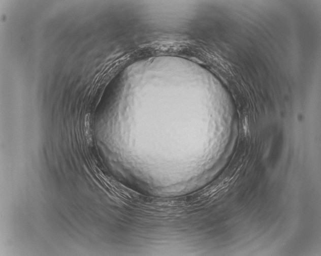 X0000058131396200510171324