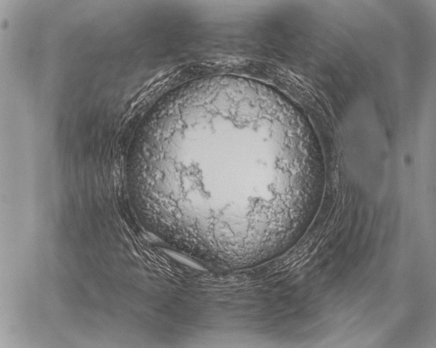 X0000058131397200510171324