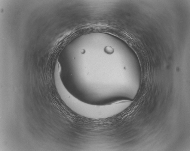 X0000058131398200510171324