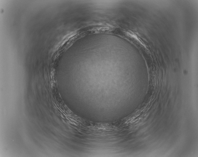 X0000058131399200510171324