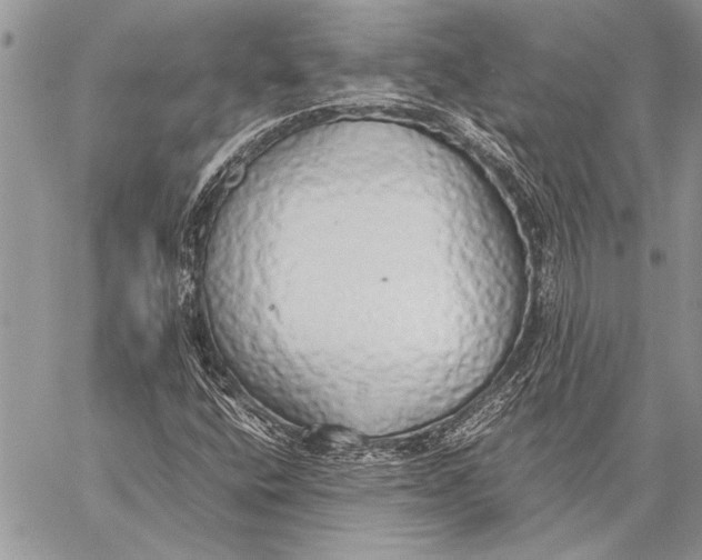 X0000058131400200510171324