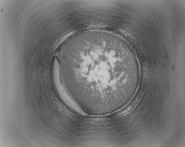 X0000058131401200510171324