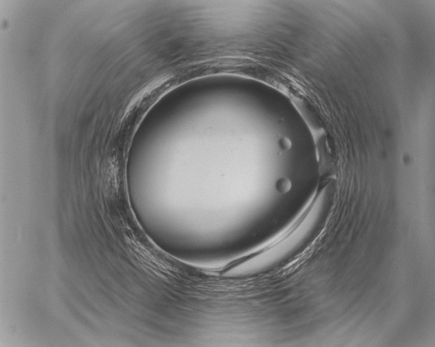 X0000058131402200510171324