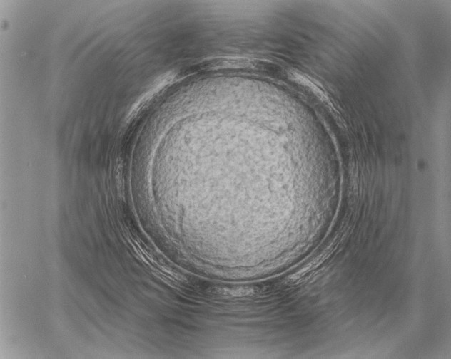 X0000058131403200510171324