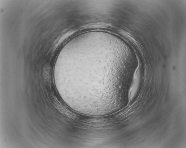 X0000058131404200510171324