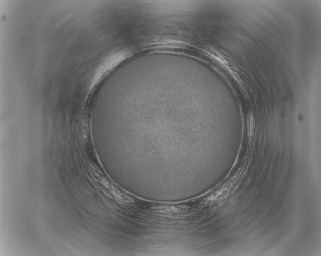 X0000058131405200510171324