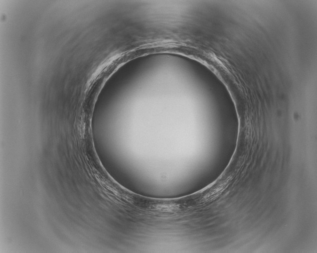 X0000058131406200510171324