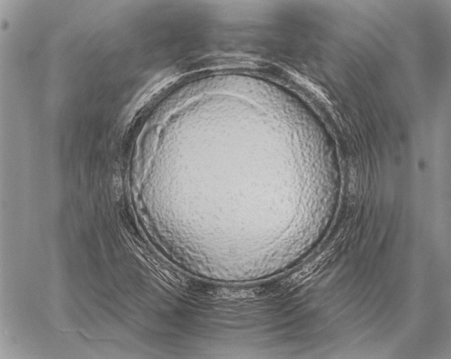 X0000058131407200510171324