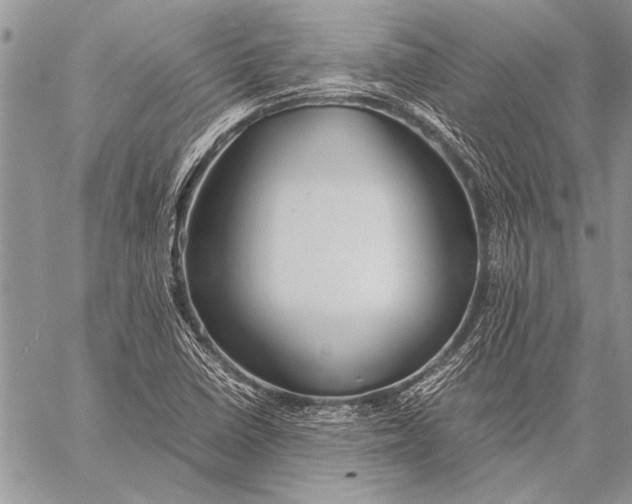 X0000058131410200510171324