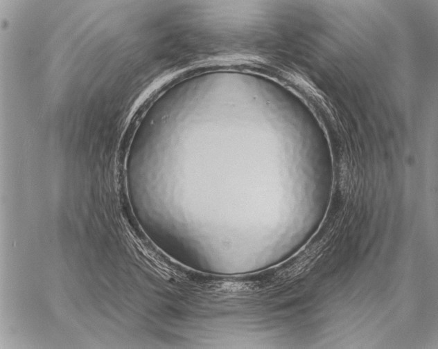 X0000058131412200510171324