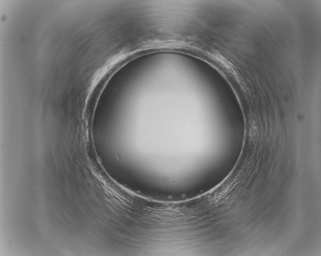 X0000058131414200510171324