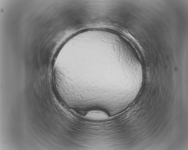 X0000058131416200510171324