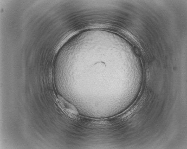 X0000058131417200510171324