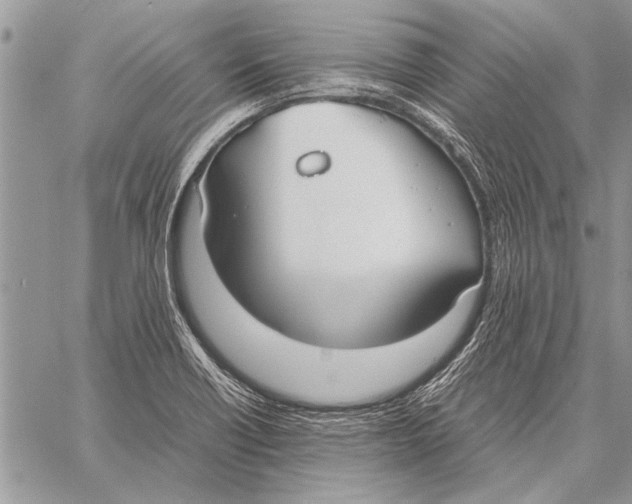 X0000058131418200510171324