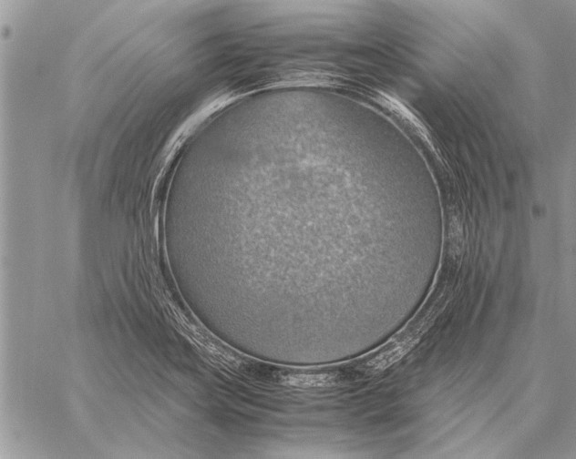 X0000058131419200510171324