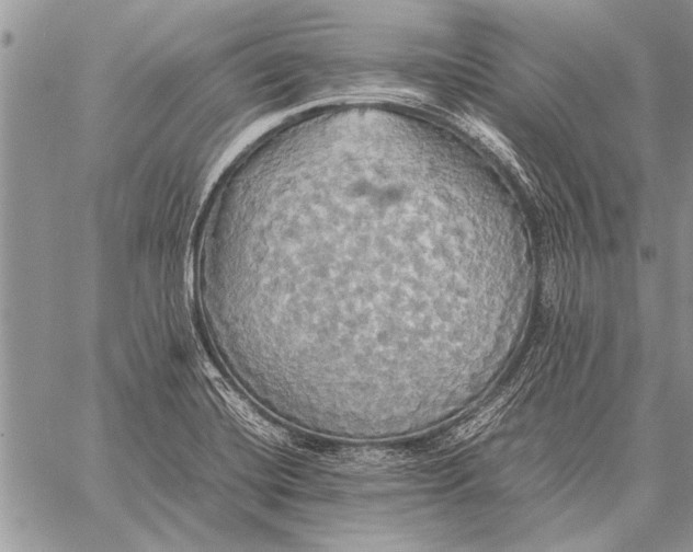 X0000058131420200510171324