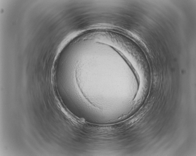 X0000058131421200510171324