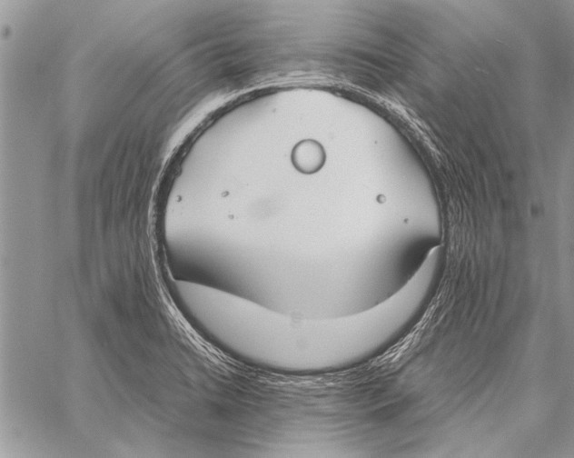 X0000058131422200510171324