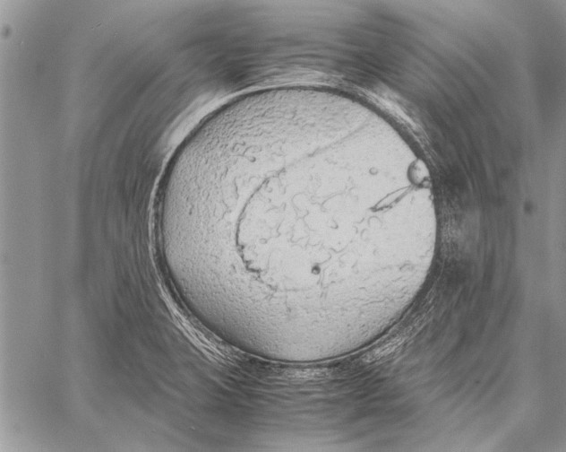 X0000058131423200510171324