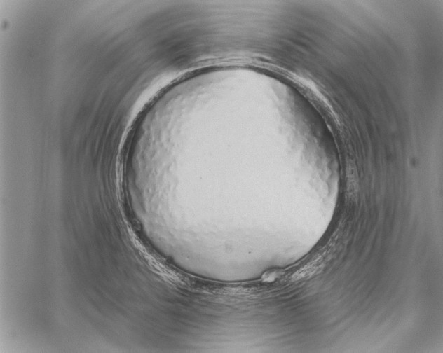 X0000058131424200510171324