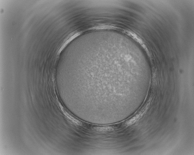 X0000058131425200510171324