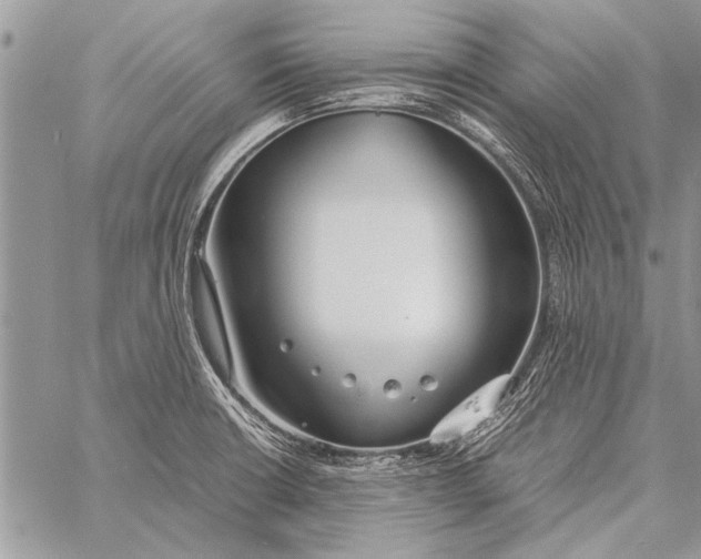 X0000058131426200510171324