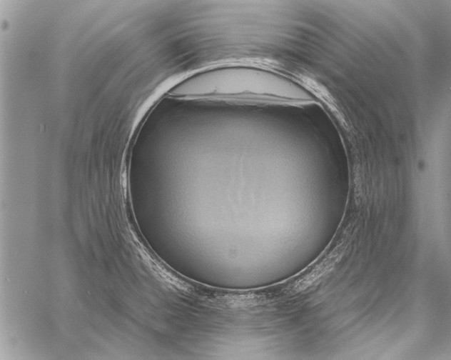 X0000058131428200510171324