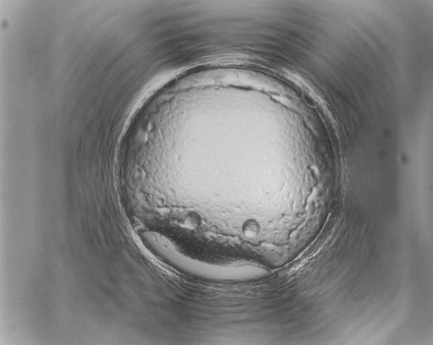 X0000058131429200510171324