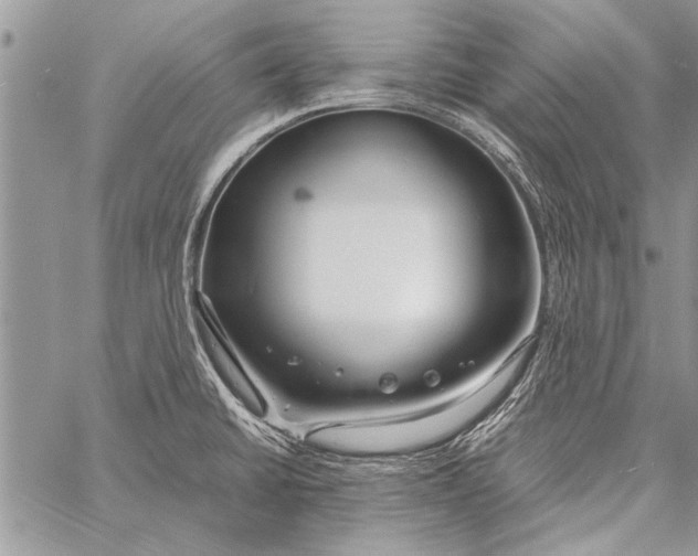 X0000058131430200510171325