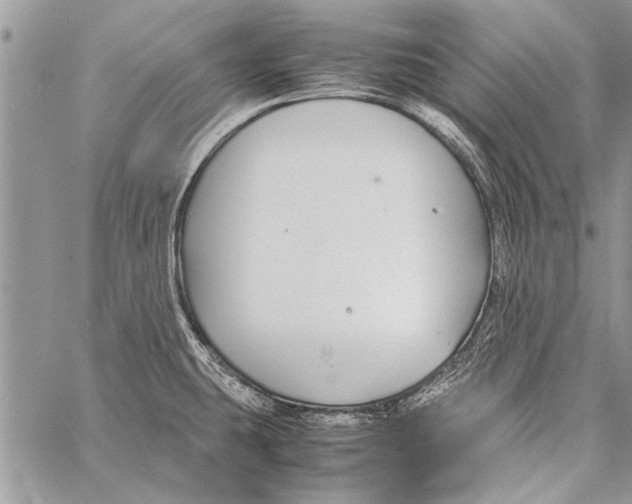 X0000058131431200510171325