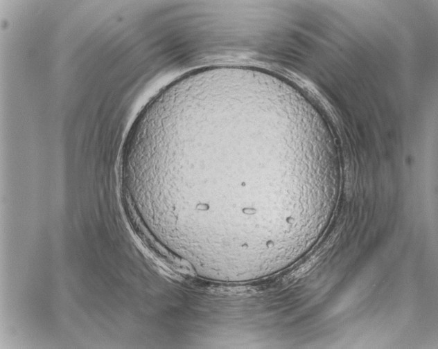 X0000058131432200510171325