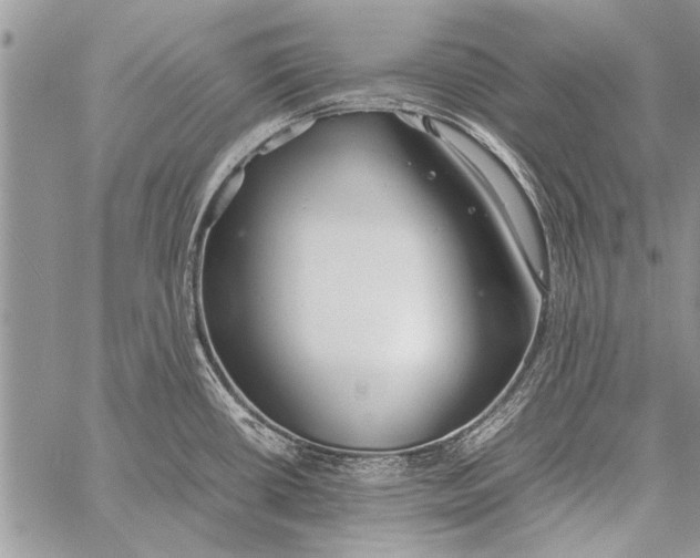 X0000058131434200510171325