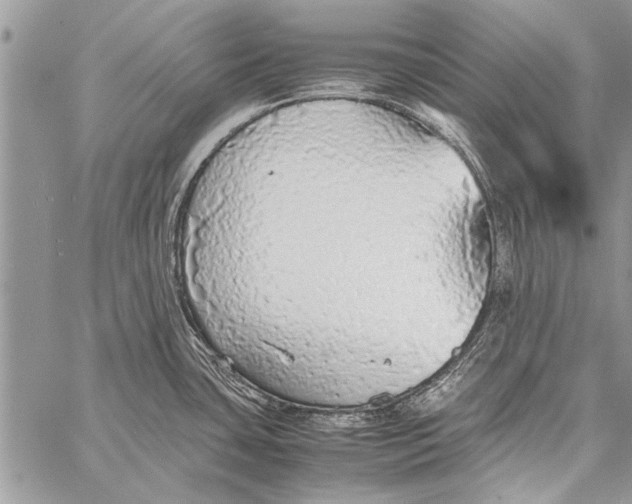 X0000058131435200510171325