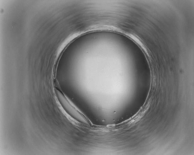 X0000058131438200510171325