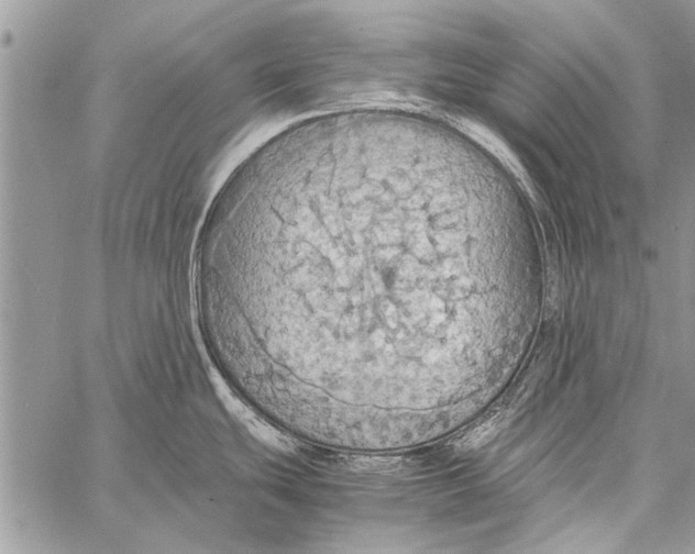 X0000058131439200510171325