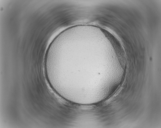 X0000058131440200510171325