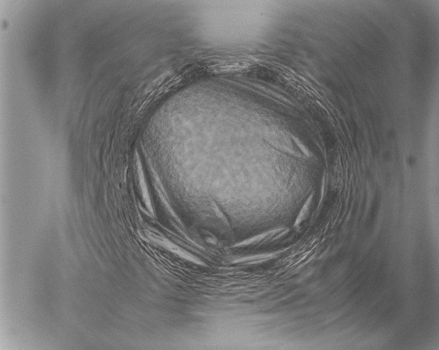 X0000058131441200510171324