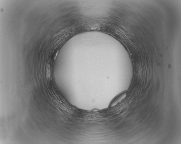 X0000058131442200510171324