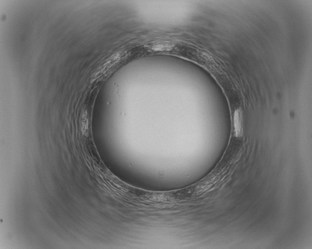 X0000058131443200510171324