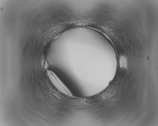 X0000058131444200510171324