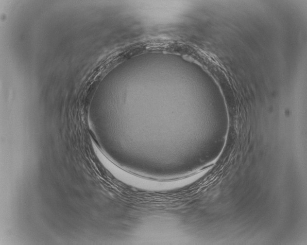 X0000058131445200510171324