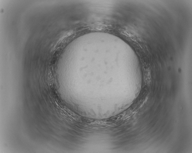 X0000058131446200510171324