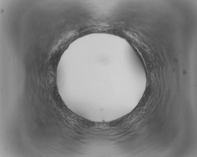 X0000058131447200510171324