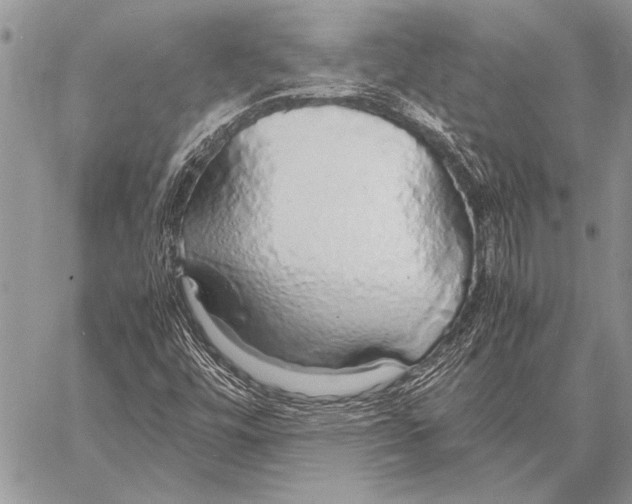 X0000058131448200510171324