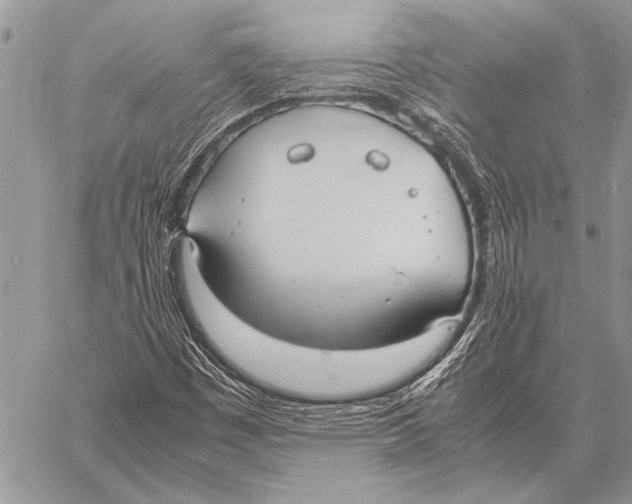 X0000058131449200510171324