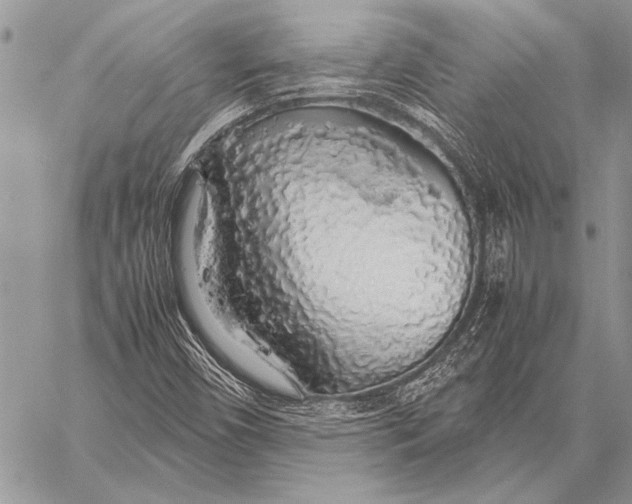 X0000058131450200510171324