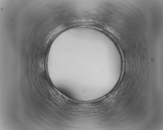 X0000058131451200510171324