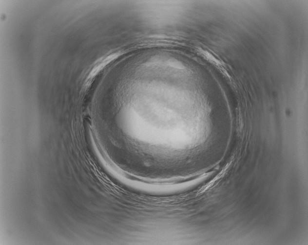 X0000058131453200510171324