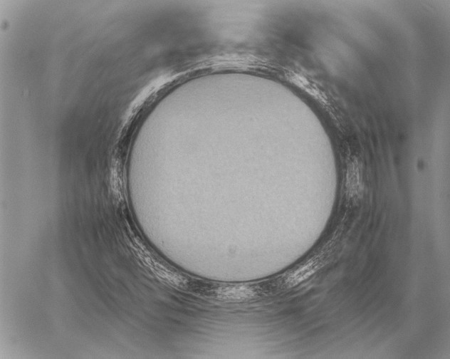 X0000058131454200510171324